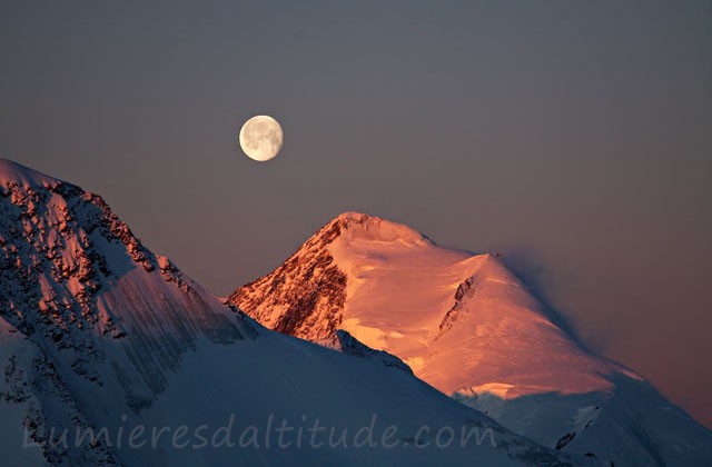 Coucher de lune sur l'Aletschhorn; Suisse
