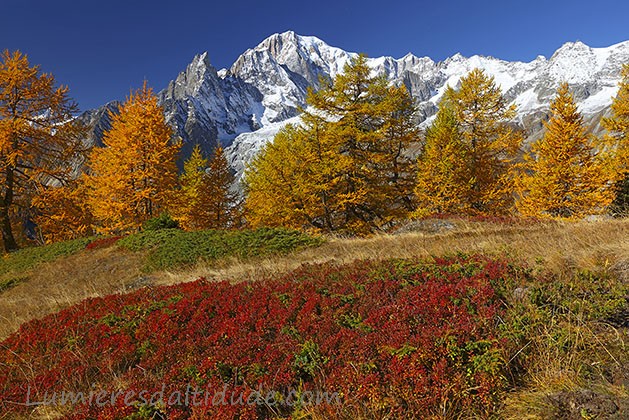 Autumn in Mont-Blanc