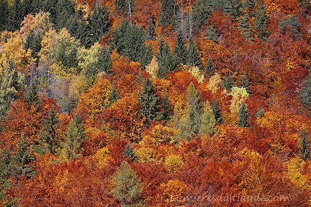 Autumn in Chamonix