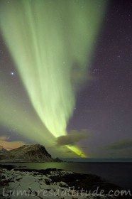 Aurore boreale sur les iles Lofoten, Norvege