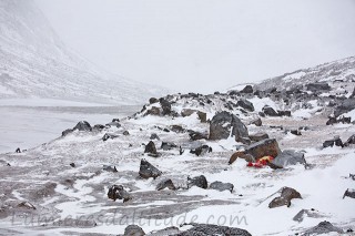 Camping...Terre de Baffin, Canada