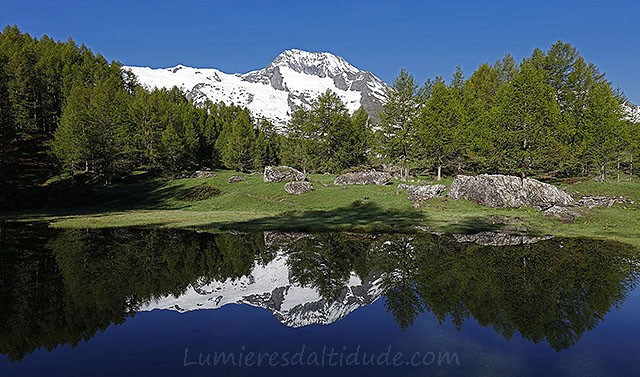 Reflet au Mont Pourri